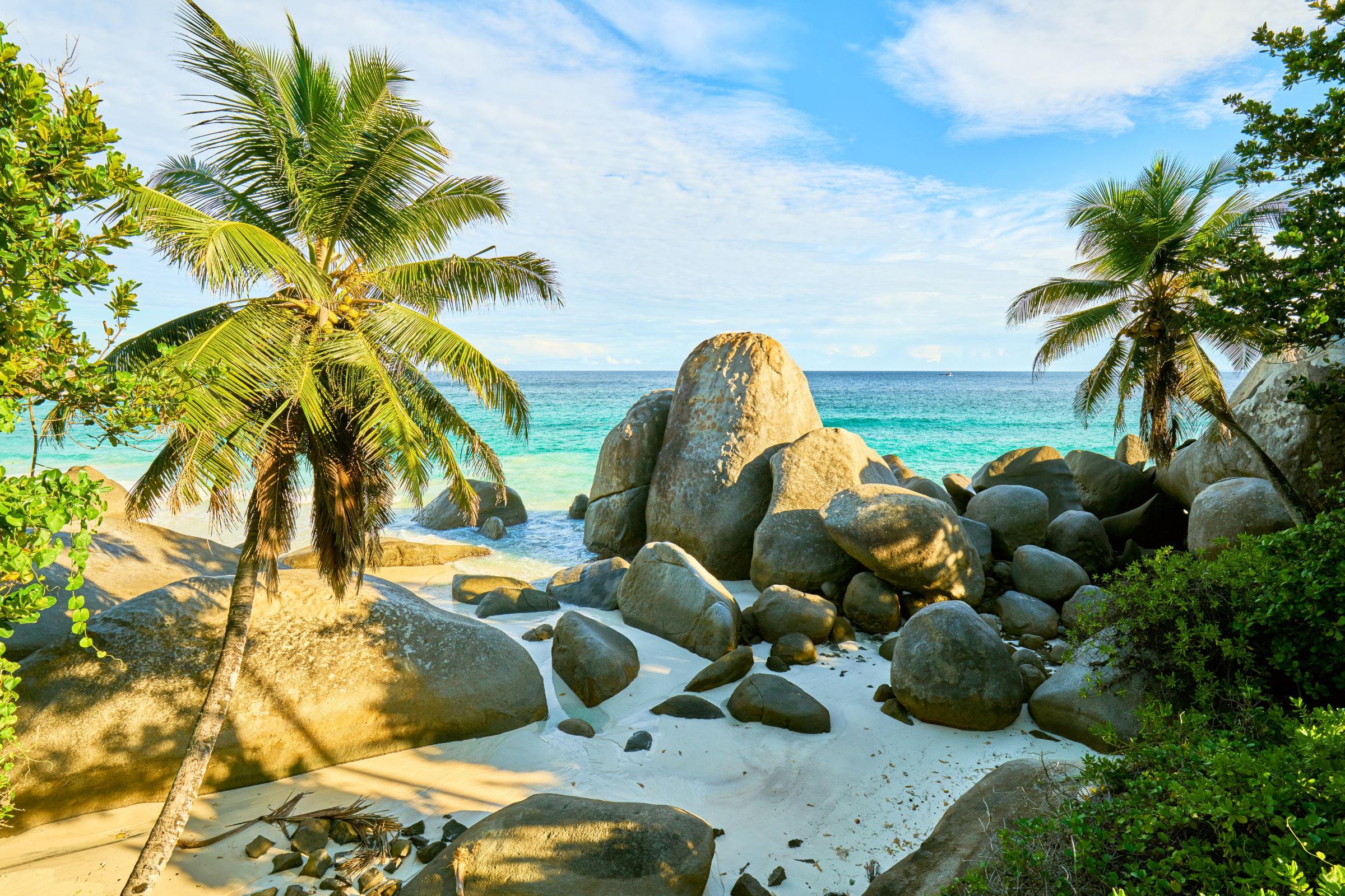 rémire island (3).webp
